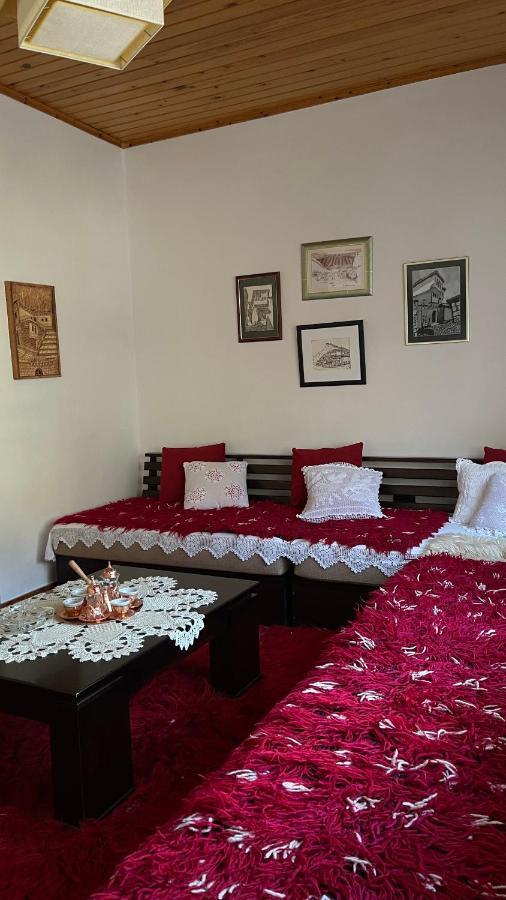 Ana Rest House Hostel Berat Ngoại thất bức ảnh